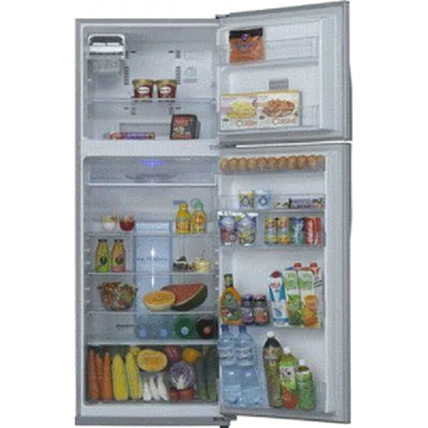 холодильник Toshiba GR-R 49 TR